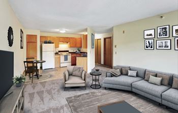 Dominium_Elm Creek_Living Room